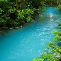 ikan-predator-air-tawar-yang-hidup-di-indonesia