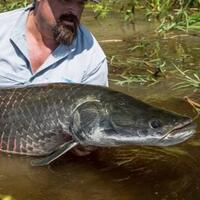 inilah-6-ikan-paling-mengerikan-di-dunia-salah-satunya-ada-di-indonesia