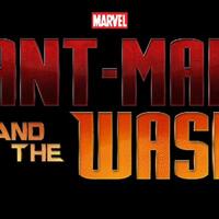 petunjuk-ke-avengers-4-di-film-ant-man--the-wasp