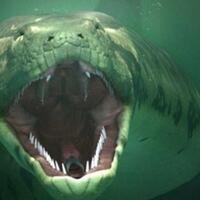 suatu-saat-pasti-akan-bertemu-dengan-hewan-ini-kenali-penanganannya-gan