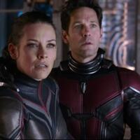 alasan-tidak-ada-cameo-avengers-dalam-ant-man-and-the-wasp