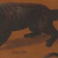 lukisan-hewan-abad-ke-16-dari-cat-air