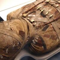 dive-inside-mari-bercerita-tentang-mumi-dan-dunianya-knowledge-insight