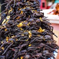 10-makanan-teraneh-yang-ada-di-berbagai-belahan-dunia