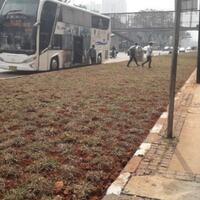 warga-bingung-ada-area-rumput-pisahkan-halte-bus-dengan-jalan-raya-di-sudirman