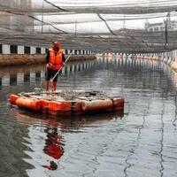 sungai-kali-di-jakarta-itu-harusnya-dibersihkan-bukan-di-tutupi