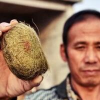 jangan-pernah-remehkan-benda-yang-agan-temuin-siapa-tau-bisa-jadi-miliarder