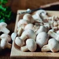 jamur-kancing-makanan-yang-bisa-bikin-awet-muda