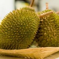 durian-itu-enak-bangeeeeeet-tapi
