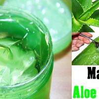 aloe-gel-ramuan-seribu-manfaat-untuk-kulit-dan-rambut