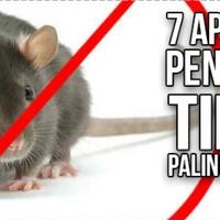 7-aplikasi-smartphone-pengusir-tikus-bandel-no-3-paling-simple