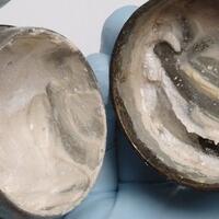 ditemukan-krim-wajah-berusia-2000-tahun-peninggalan-zaman-romawi-kuno-masih-utuh