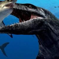 5-monster-laut-zaman-purba-yang-lebih-tua-dari-megalodon