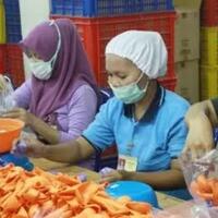 sejarah-balon-yang-jarang-orang-ketahui