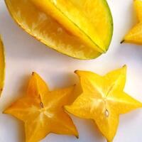 serunya-memetik-belimbing-di-agrowisata-kebun-belimbing-desa-tarub-grobogan