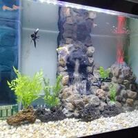 coc-diy-membuat-hiasan-gunung-berapi-untuk-akurium-dari-sampah-botol-plastik