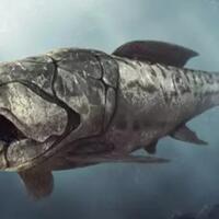dunkleosteus--predator-laut-mematikan-zaman-purba