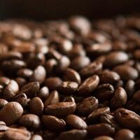 bicarakopi-ngawi-juga-punya-kopi-loh-selondo-namanya