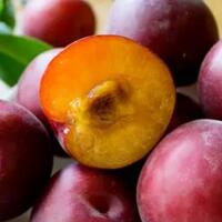 tak-hanya-untuk-diet-inilah-5-khasiat-plum-bagi-kesehatan