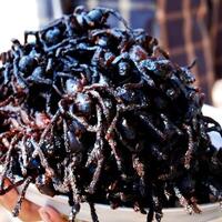 ngeri-tapi-sedap-ini-dia-5-kuliner-paling-ekstrim-di-kamboja