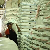 produksi-beras-surplus-peluang-ri-lumbung-pangan-dunia-terbuka