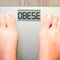 sains-ternyata-kegemukan-bisa-menular-ke-orang-yang-dicintai