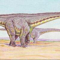 5-fakta-tentang-dinosaurus-yang-masih-sedikit-orang-tau