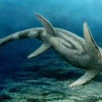 jauh-lebih-ganas-dari-hiu-putih-7-monster-laut-prasejarah-mengerikan
