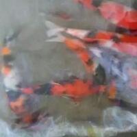 coc-pets-tips-mudah-dalam-memelihara-ikan-hias-air-tawar-di-kolam-aslinyalo