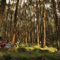 all-about-camping---kemah-rekomendasi-tempat-peralatan-aktivitas-tips-dll