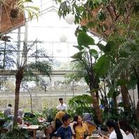 spot-instagramable-ala-tropical-land-di-jardin-cafe