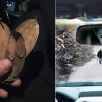 foto-mistis-quotkuntilanakquot-maen-ke-malaysia-bayar-taksi-grab-pakai-ini
