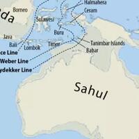 tahukah-kamu-kalau-pulau-papua-dulunya-berasal-dari-benua-australia
