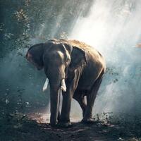 mau-naik-gajah-di-thailand-cek-ini-dulu-sebelum-berangkat