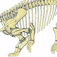 raksasa-era-triassic-bukan-hanya-dinosaurus