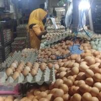 peternak-ungkap-penyebab-tingginya-harga-telur-ayam