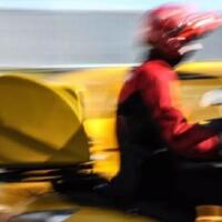 6-hal-ini-diprediksi-akan-punah-pada-tahun-2025