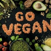 vegan-vegetarian-apa-manfaatnya