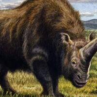 manusia-sempat-hidup-berdampingan-dengan-unicorn