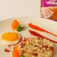 nasi-goreng-makanan-kucing--kamu-mau-coba