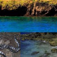 dihuni-ular-hingga-ilusi-air-terjun-bawah-laut-5-pulau-aneh-ini-menyimpan-misteri