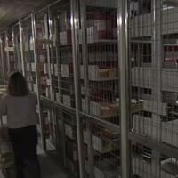 dilindungi-dan-tertutup-4-tempat-rahasia-ini-mendapat-penjagaan-super-ketat