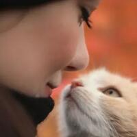 hal-hal-aneh-yang-hanya-bisa-dirasakan-oleh-pecinta-kucing