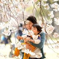 gini-lho-cara-orang-tua-mendidik-anak-mereka-di-jepang