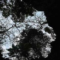 menawan-nya-obyek-wisata-goa-terawang-blora