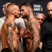 ufc-fight-night-cejudo-vs-dillashaw-tj-quotchamp-champquot-selanjutnya