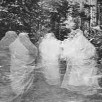 misteri-paloh-kerajaan-siluman-di-hutan-kalimantan