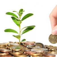 5-investasi-yang-bisa-kalian-lakukan-biar-hidup-makmur
