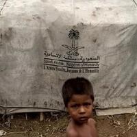 arab-saudi-mendadak-deportasi-tahanan-rohingya-ke-bangladesh