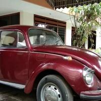 mobil-kodok-selain-koleksi-bisa-juga-buat-investasi